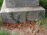 image of grave number 741975